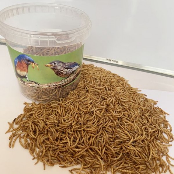 Dried Mealworms are a perfect source of protein for Wild birds, Chicken, Fish, & Reptiles.( 1 KG )