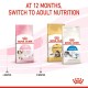 ROYAL CANIN KITTEN ( 2 Kg )