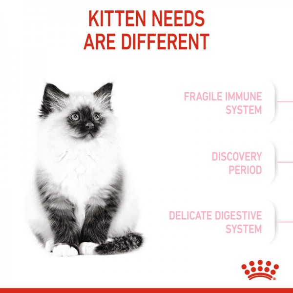 ROYAL CANIN KITTEN ( 2 Kg )