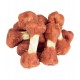 DOG FEST DUCK MEAT BONES ( 55g )