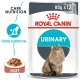 Royal Canin Urinary Care Gravy 1 Box(12pcs x 85g)