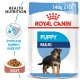 Royal Canin Maxi Puppy 1 Box-12 Pcs(140g)