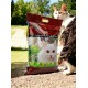 GOLDEN CAT CAT LITTER ( 4pcs X 8kg ) Lavender 1 pcs , Lemon 2 pcs , Coffee 1 pcs