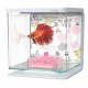 MARINA BETTA KIT 2L - FLORAL-PINK)