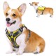 Fida Dog Harness – Yellow (M)