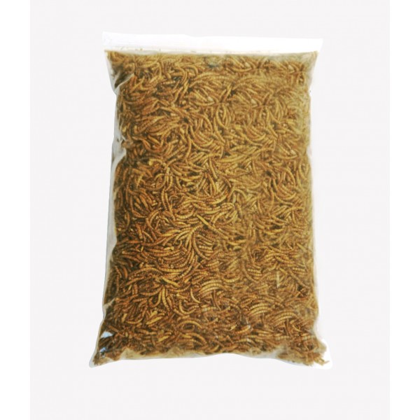 Dried Mealworms are a perfect source of protein for Wild birds, Chicken, Fish, & Reptiles.( 1 KG )