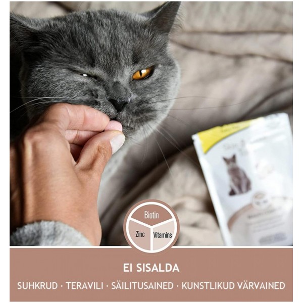 GimCat Skin & Coat Tabs, 40g