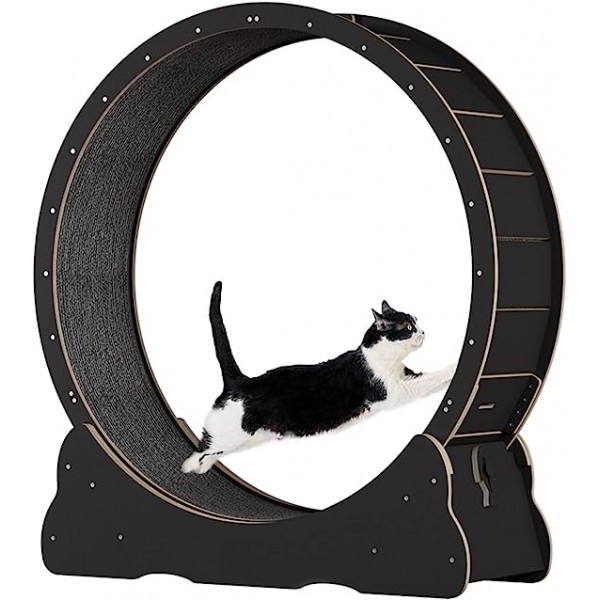 Cat Exercise Wheel Treadmill Anti-Pinch (Black, MEDIUM )