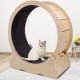 Cat Exercise Wheel Treadmill Anti-Pinch (Burly wood, SMALL )