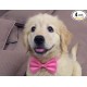 Cute Dog Puppy Cat Kitten Pet Toy Kid Bow Tie Necktie Clothes