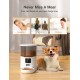 Smart 4L Automatic Cat Feeder - Automatic Pet Feeder for Cats & Dogs: Timed Pet Dog Food Dispenser with Stainless Steel Bowl,Wi-Fi Enabled App for iPhone and Android,10s Voice,Portion Control