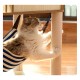 Outdoor Cat Enclosure Cat climbing frame, cat litter, cat tree, sisal cat scratch board, solid wood cat scratch post, claw grinder, cat toy Cat Hut