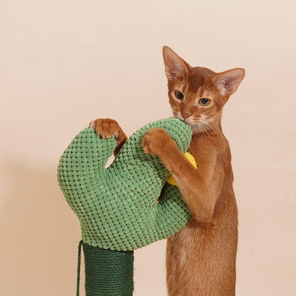 Cat Scratching Post for Kittens Adult Cats, Jute Scratch Pole Cactus Cat Claw Scratcher with a Hanging Jute Ball