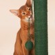 Cat Scratching Post for Kittens Adult Cats, Jute Scratch Pole Cactus Cat Claw Scratcher with a Hanging Jute Ball