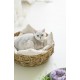 Oval Wicker Pet Bed, Cozy And Versatile, Durable Cat Lounge Bed Sleeping Basket With Cushion For Indoor Cats - Size: 48*48*15cm