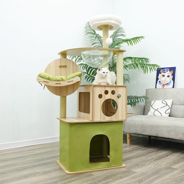 Cat tree,Cat tower-Cat tree for indoor cats Transparent space capsule, Plush jumping platform Non Ladder ( Green ) SIZE : 55 X 40 X 150 cm