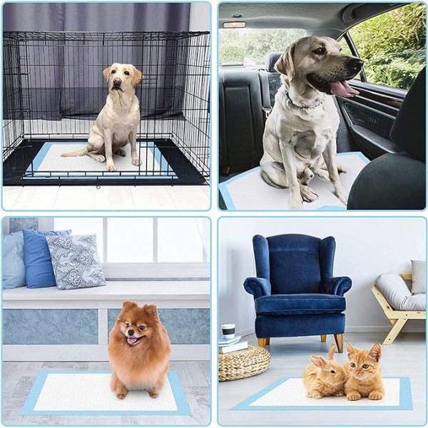 Pet Training Pads Super Absorbent Puppy Pads Anti Slip Toilet Pee Mat, Leak Proof & Quick Dry Pet Pads for Dogs Cats Rabbits Pets (40 PACK-60 X 60CM)