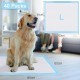 Pet Training Pads Super Absorbent Puppy Pads Anti Slip Toilet Pee Mat, Leak Proof & Quick Dry Pet Pads for Dogs Cats Rabbits Pets (4 Bag X 40 Pads - Size, 60 X 60CM) Total 160 Pads.