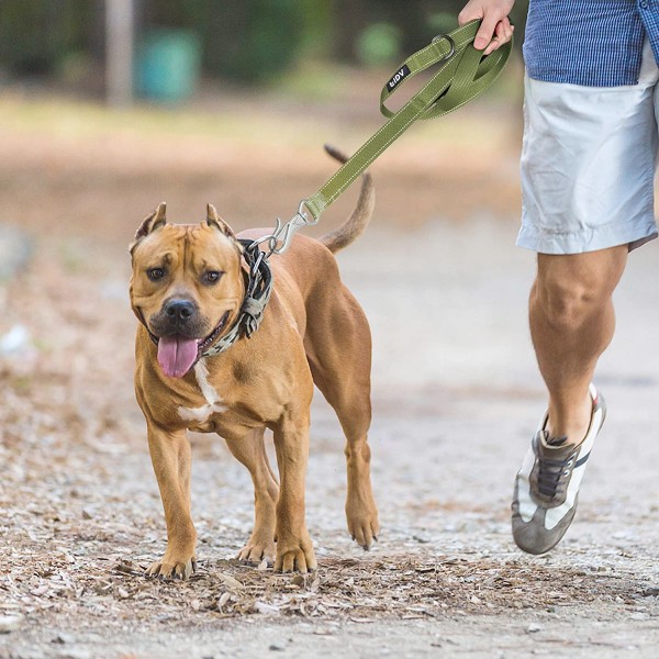 Fida Heavy Duty Dog Leash – Yellow - 4 ft