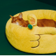 Zeze Finger Shaped Pet Bed, Size - 56cm x 56cm x 33cm