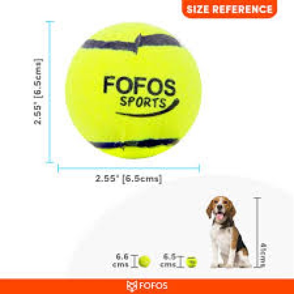 FOFOS Sports Fetch Ball( 4pk)