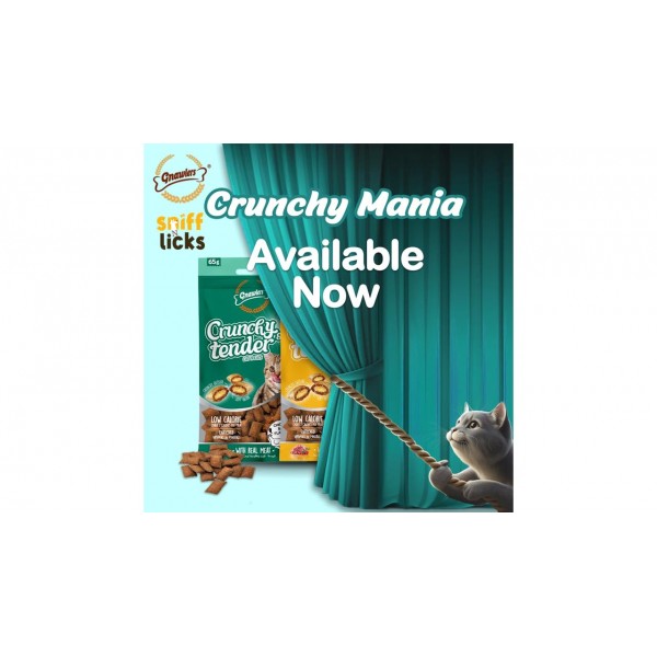 Gnawlers Crunchy & Tender Cat Treats 65g - Salmon Flavour