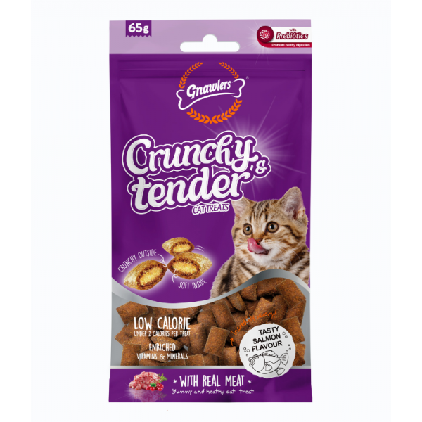 Gnawlers Crunchy & Tender Cat Treats 65g - Salmon Flavour