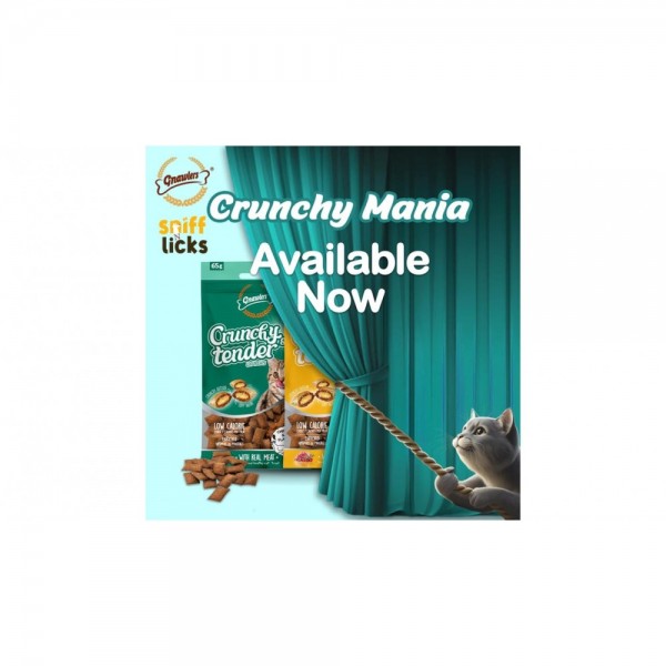 Gnawlers Crunchy & Tender Cat Treats 65g - Chicken Flavour