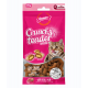 Gnawlers Crunchy & Tender Cat Treats 65g - Salmon & Milk Flavour