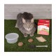 BIOLINE CAT GRASS KIT ( 12 G )