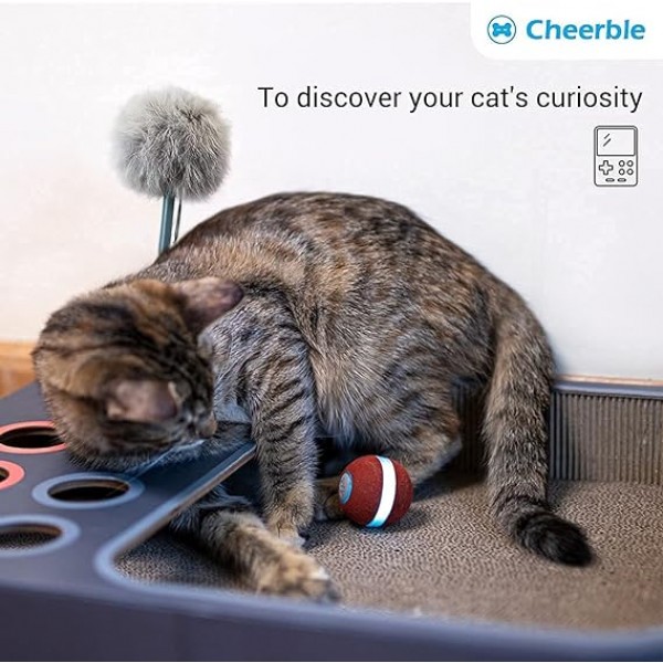 Cheerble Cat Ball, Board Game Keep Your cat Happy, A New 3-in-1 Board Game for Playful Cats, All-in-one Interactive Toy for Cats