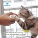 Cheerble Cat Ball, Board Game Keep Your cat Happy, A New 3-in-1 Board Game for Playful Cats, All-in-one Interactive Toy for Cats