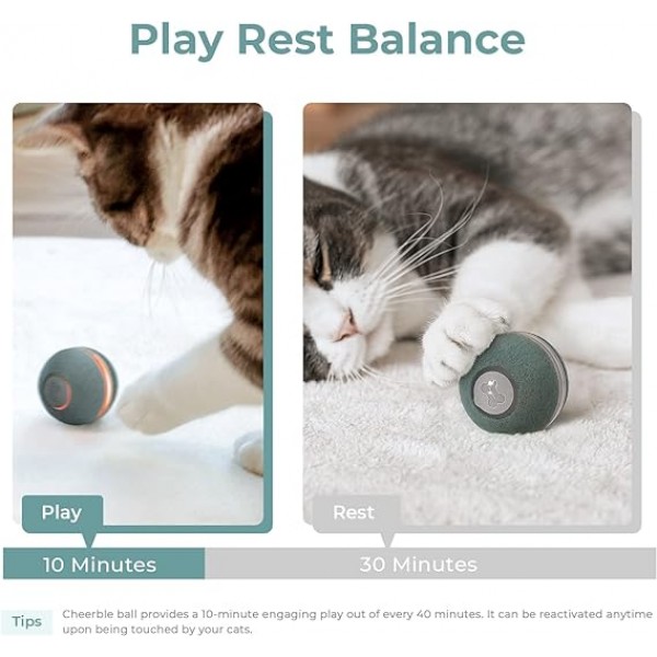 Cheerble Cat Ball, Board Game Keep Your cat Happy, A New 3-in-1 Board Game for Playful Cats, All-in-one Interactive Toy for Cats