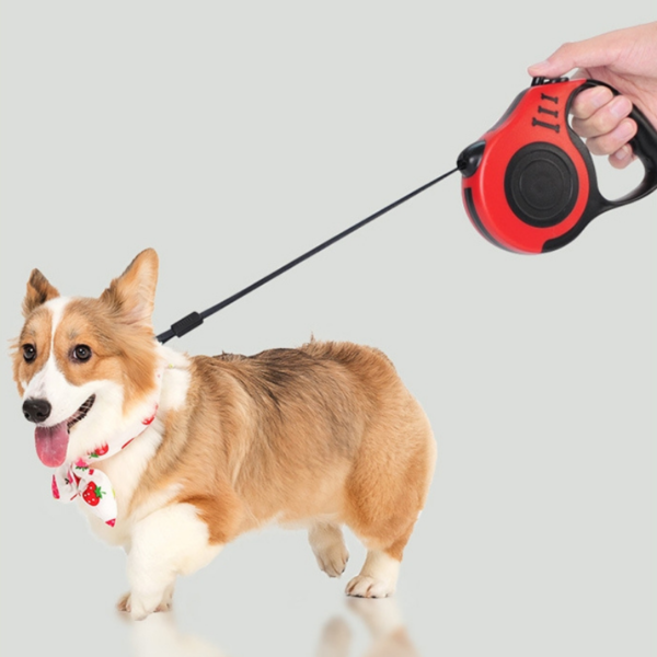 For Pet Retractable Dog Leash RL188-3M )