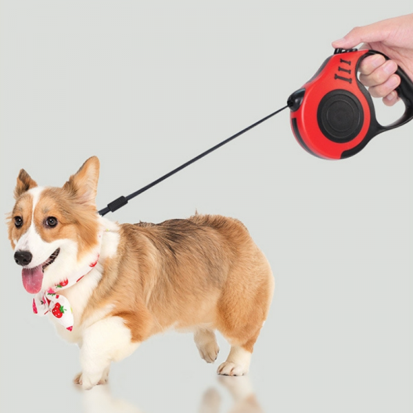 For Pet Retractable Dog Leash RL188-5M)