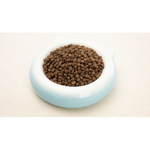 Golden Cat Kitten Dry Food (3kg) For Cat