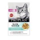 proplan delicate ocean fish (85g)  For Cat