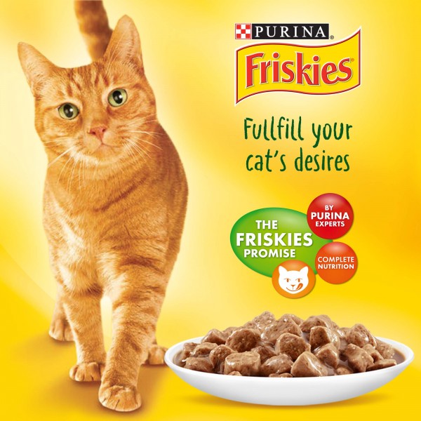 Purina Friskies Cat With Salmon Gravy (85g)