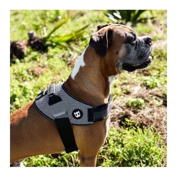 Zee.Dog Urban Flyharness (Size 2)