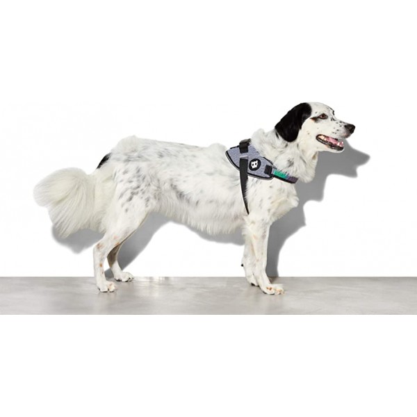 Zee.Dog Urban Flyharness (Size 3)