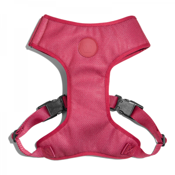 Zee.Dog Bordeau Adjustable Air Mesh ( Medium)