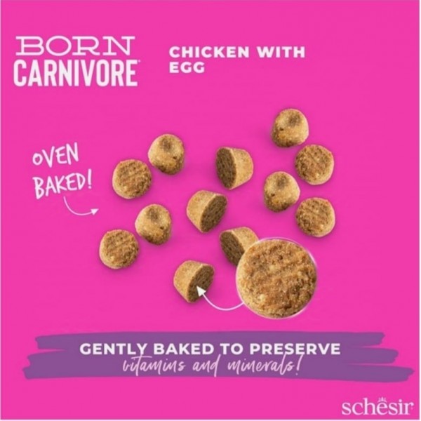 Schesir Born Carnivore Grain Free Oven Baked Dry Cat Chicken & Egg - Kitten 1.25kg