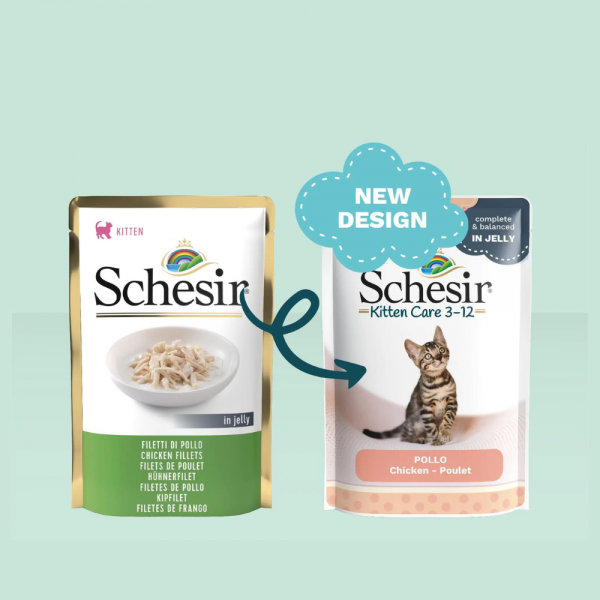 Schesir Kitten Care 3-12 in Jelly Chicken Pouch 85g 