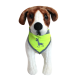 ALCOTT VISIBILITY DOG BANDANA (  MEDIUM - NEON YELLOW )