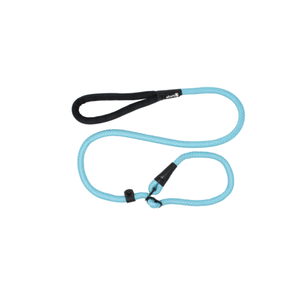 ALCOTT SLIP ROPE LEASH ( 150CM, BLUE )