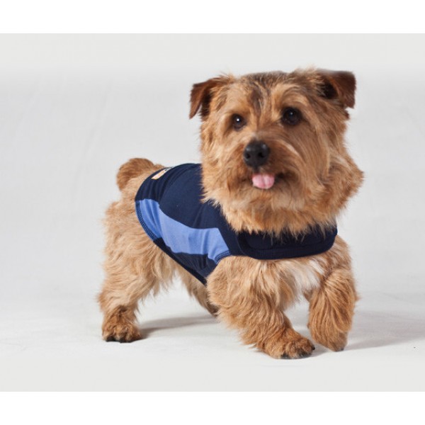 THUNDERSHIRT DOG ANXIETY ( BLUE M )