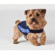 THUNDERSHIRT DOG ANXIETY ( BLUE M )