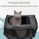 Pet Travel Bag With Portable Trolley And Detachable Universal Wheels