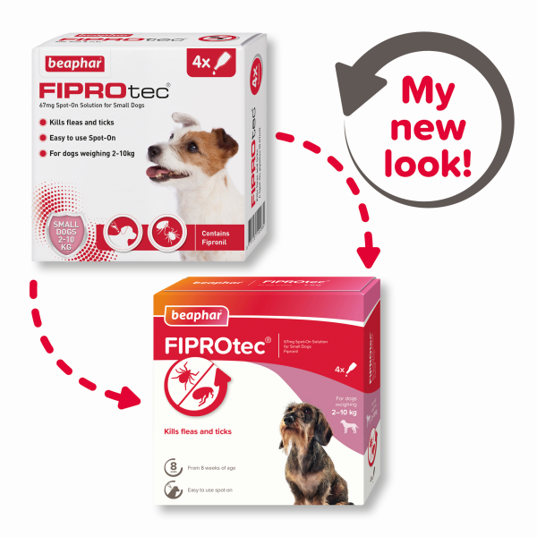 Fiprotec for Small Dog - 4 Pipettes