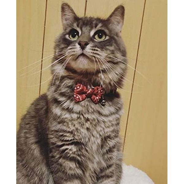 Pawise Cat Collar with Bowknot Red